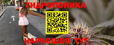 mix Гатчина
