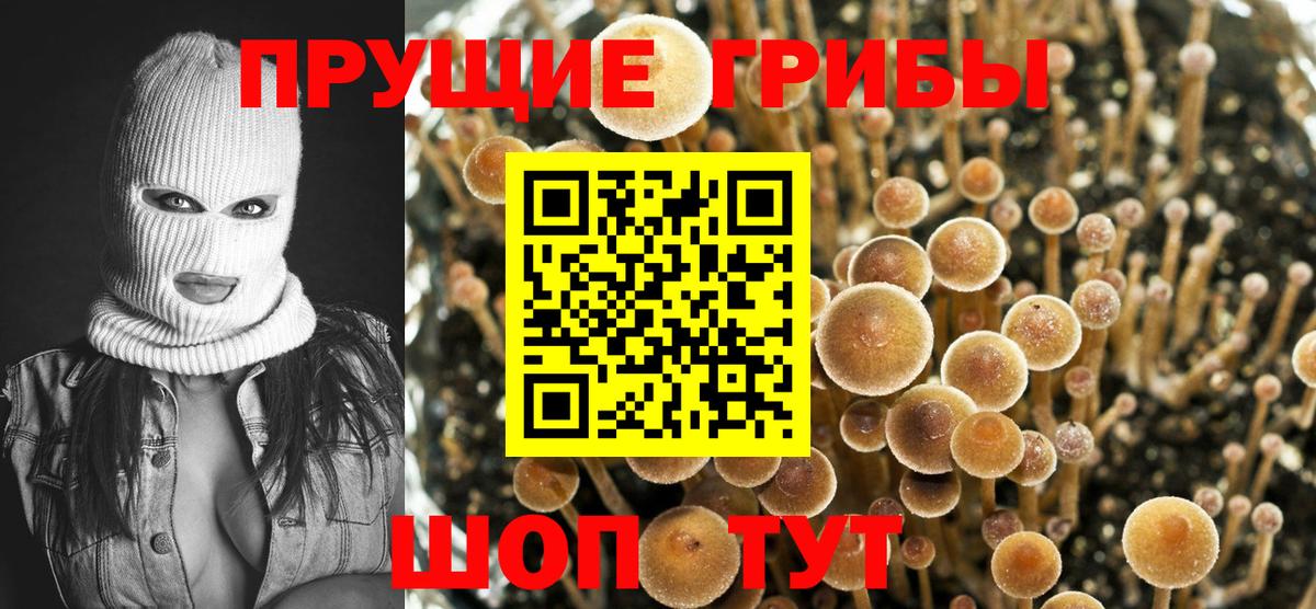 Михайловка  Галлюциногенные грибы мухоморы  Вход с VPN 